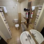 Balatonfueredi Borostyan Panzio 3*