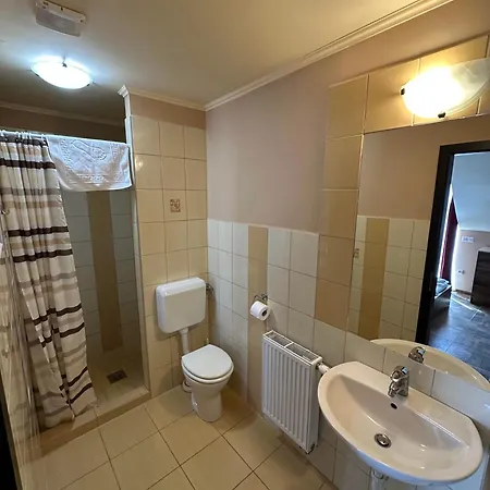 Bed and Breakfast Balatonfueredi Borostyan Panzio 3*