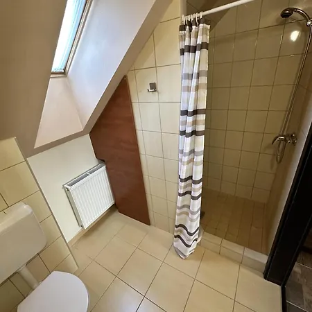 Balatonfueredi Borostyan Panzio Bed and Breakfast