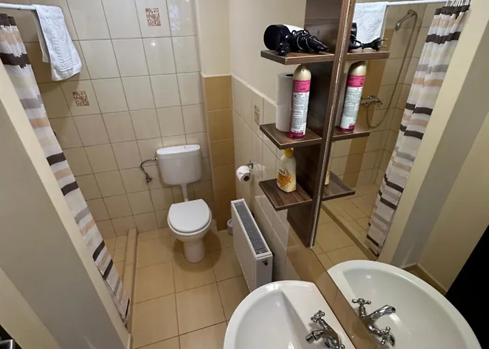 Balatonfueredi Borostyan Panzio 3*