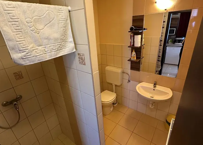 Balatonfueredi Borostyan Panzio