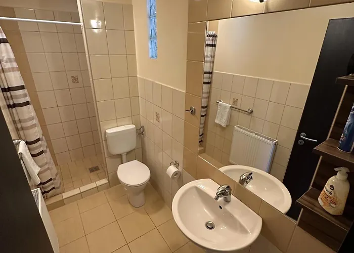 Balatonfueredi Borostyan Panzio 3* Balatonfüred