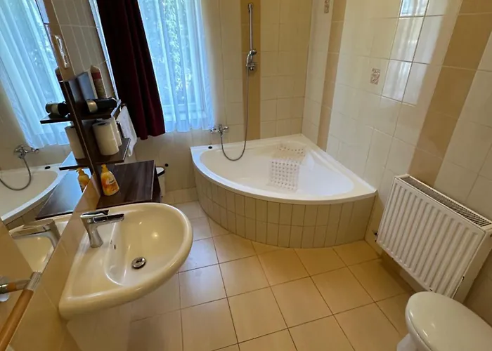 Balatonfueredi Borostyan Panzio Balatonfüred