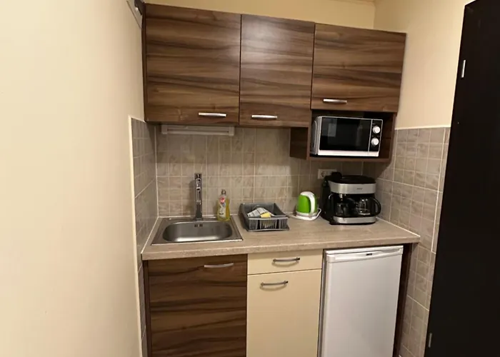 Oda ve Kahvaltı Balatonfueredi Borostyan Panzio