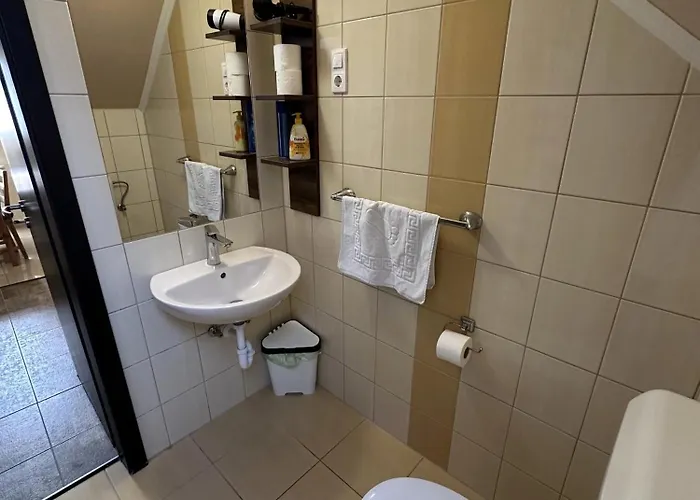 Balatonfueredi Borostyan Panzio